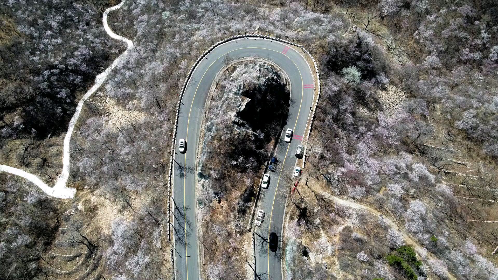 北京这条路蜿蜒曲折在花海之中